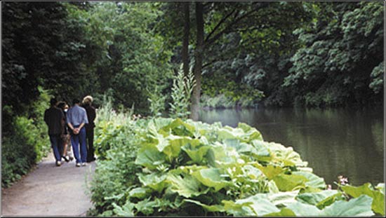 By The River CD jacket